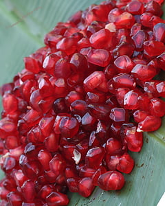 pomegranate seeds, pomegranate, seeds, food, healthy, red, fruit