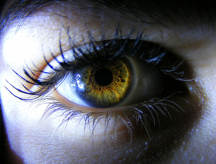 око, коричневий, жовтий, світло, Ірис, забарвлення