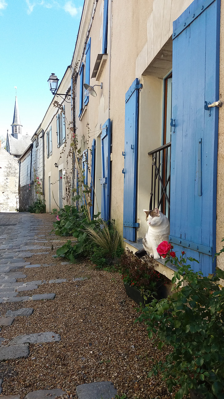 Francija, mačka, modra vrata, arhitektura, ulica, hiša, Zunanjost objekta