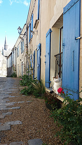 Francija, kaķis, zilās durvis, arhitektūra, iela, māja, ēkas ārpusi
