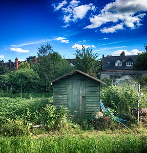 shed, garden, gardening, outdoor, building, nature, hut