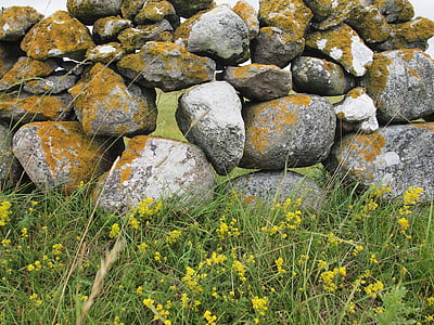 muro de piedra, Gotland, verano, Suecia, cama, cebo