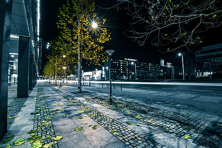 gray, concrete, road, lighted, lamposts, streets, roads