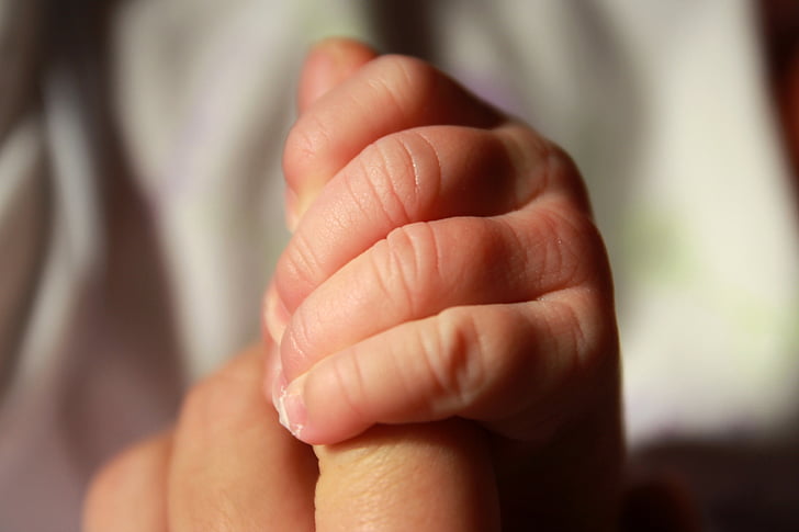 mano della holding del bambino, infante, mano, bambino, bambino, madre, padre