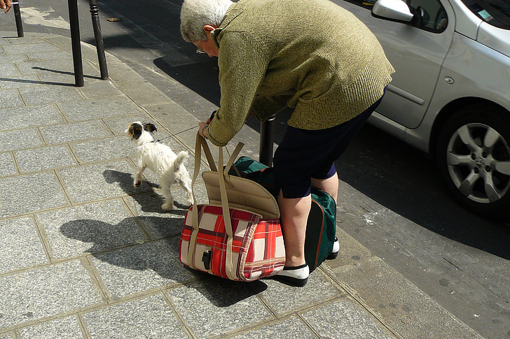 ženska, ljudi, pločnik, betonske plošče, pločniku vrečko, pasje torbe, živali