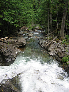 rius, corrents, l'aigua, blanc, esquitxades, esquitxades, bosc