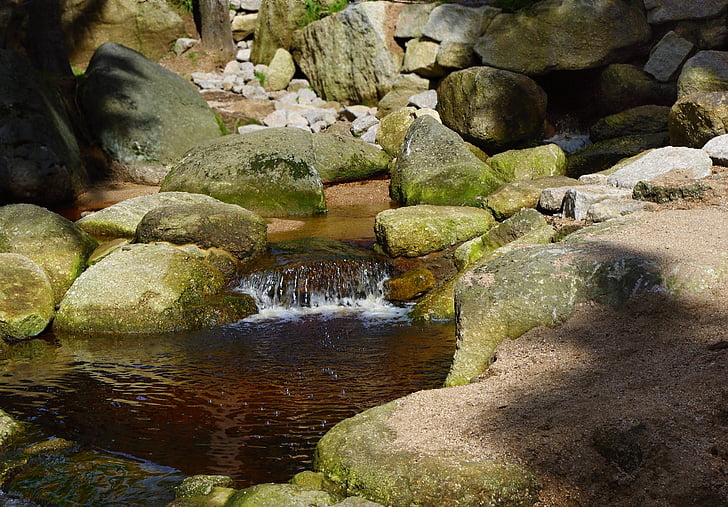 water, stream, rocks, stones, forest, creek bed, bank