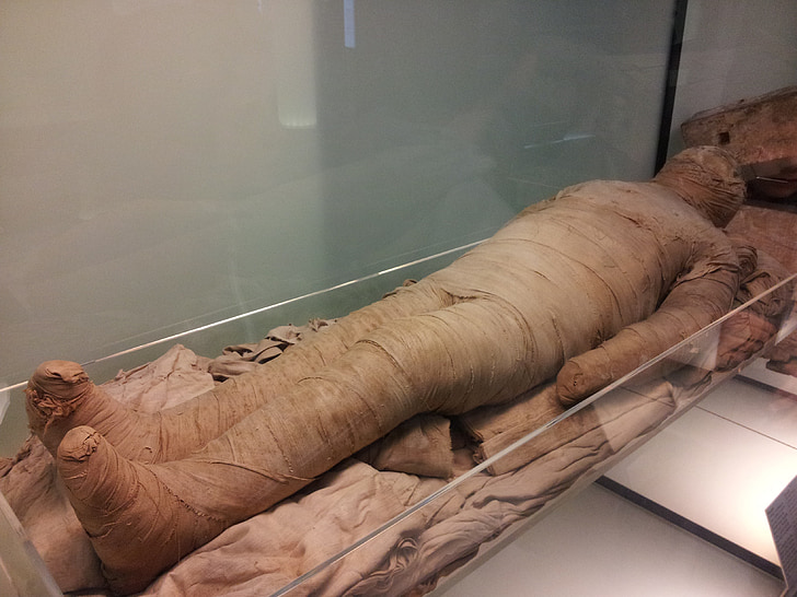 Musée égyptien, momie, antiquité, alimentaire
