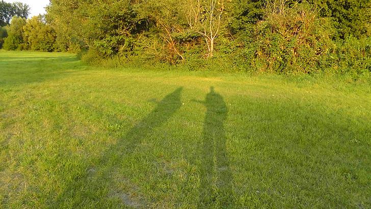 shadow, shadow musicians, human, meadow, sun, green