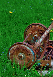 cortador de grama enferrujado, antiguidade, corte, gramado, velho, máquina, grama