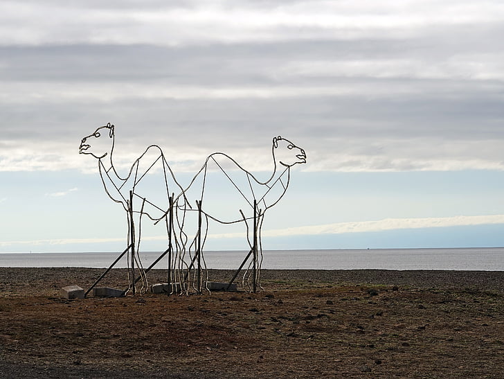 camells, en dromedari, escultura, Lanzarote