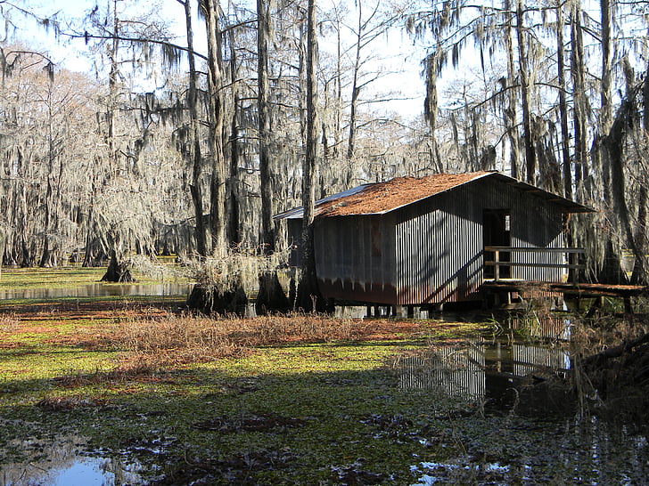 bayou, swamp, boathouse, shack, rural, wetlands, water