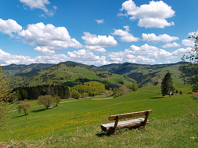 landschap, Zwarte Woud, Duitsland, berg, bos, heuvels, kleuren