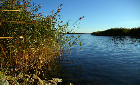 water trail, bodden, resting place, fishing spot, fish, reed, bank