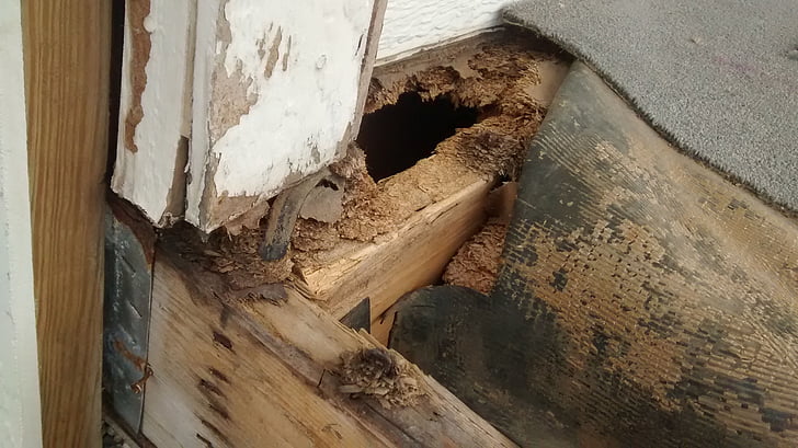 porch, repair, damage, wood, exterior, home, deck