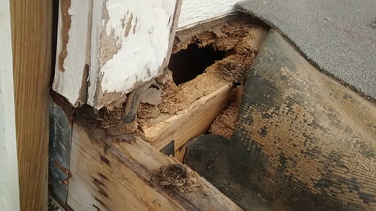 Veranda, Reparatur, Schaden, Holz, außen, nach Hause, Deck
