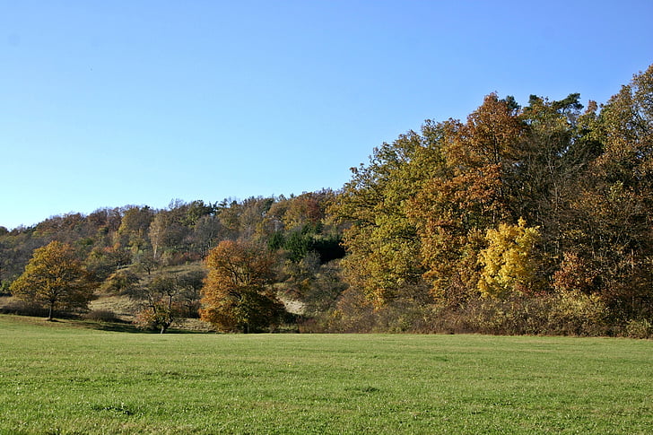 herbstliche Landschaft, Landschaft, Herbststimmung, Herbst, Wald, Waldrand, November
