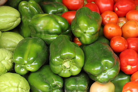 groenten, peper, tomaat, Chayote, Recife, Pernambuco, landbouw