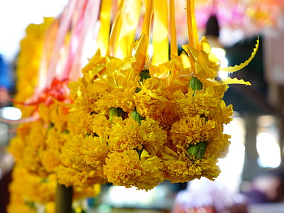 sampaguita flowers, thailand, prayer, jasmine, scent