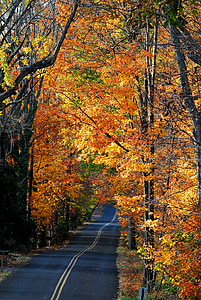 route de campagne, automne, l’automne, paysage, rural, à l’extérieur, Scenic