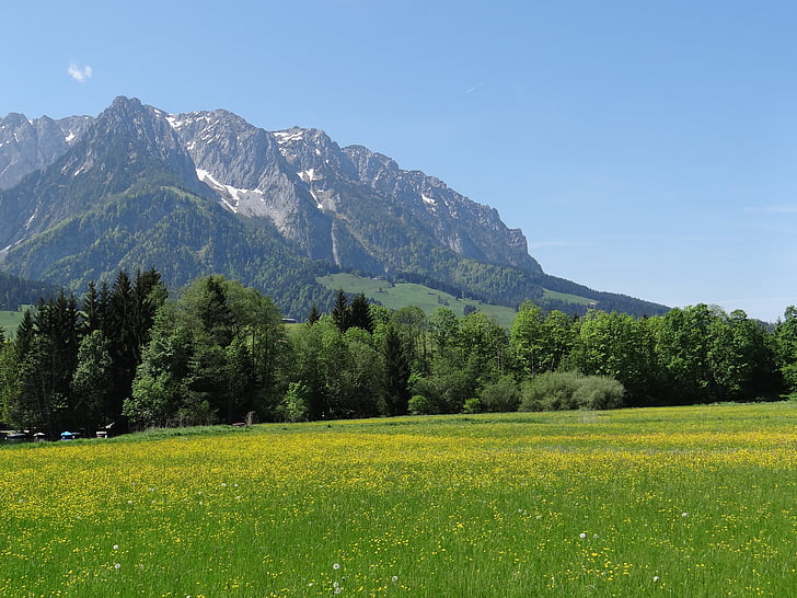 kaiserwinkl, Tyrol, bjerge, Zahmer kaiser, sne, foråret eng, natur