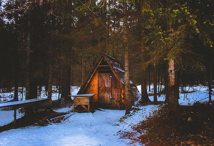 winter, snow, landscape, hut, shed, forest, trees
