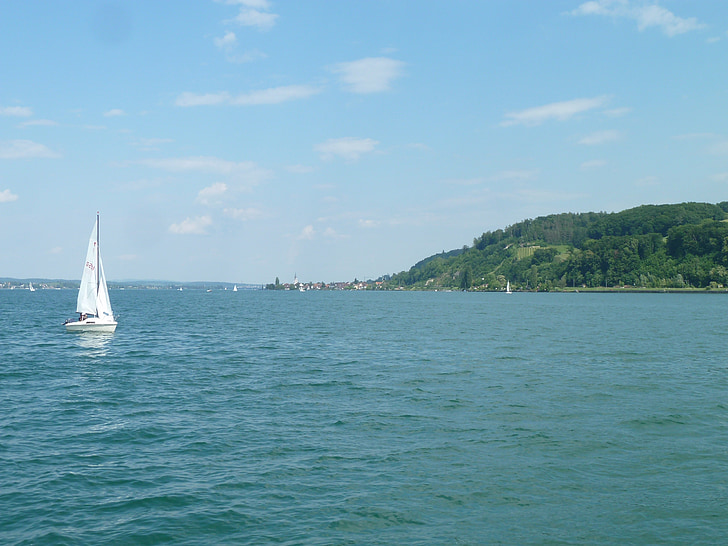 segel, Bodensjön, Schweiz, vatten, vattensporter, sommar, blå