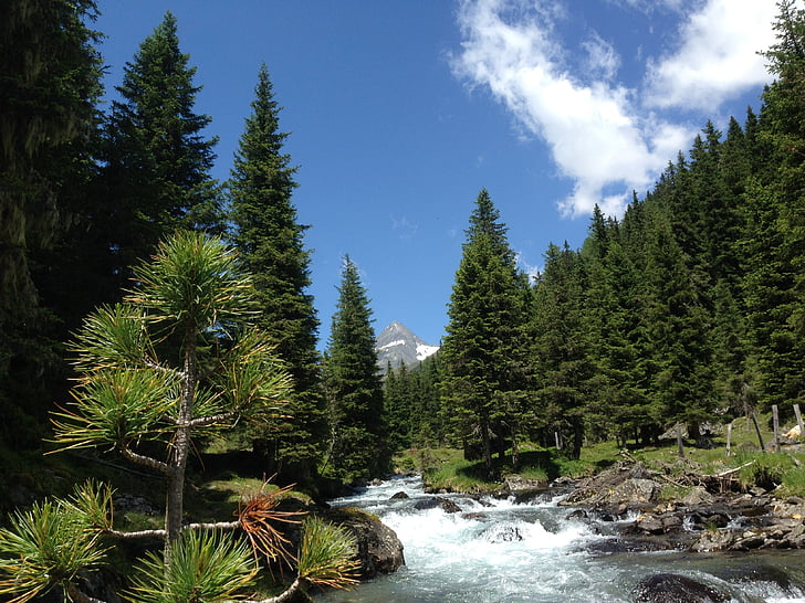 tyrol de l’est, debanttal, Tyrol, nature
