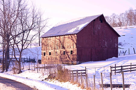 zimowe, śnieg, zimno, krajobraz, grudnia, lodowe, czerwonej stodole