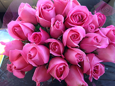 pink, roses, flower, bouquet, floral, love, romantic