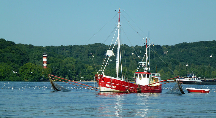 Elbe, Câu cá, Máy cắt, màu đỏ, Fischer, bang Niedersachsen, tàu bảo tàng
