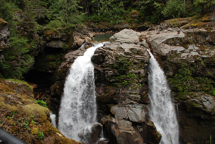 chute d’eau, nature, rivière, Forest, Washington, paysage, en plein air