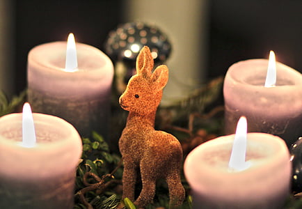 Adventný veniec, sviečky, srnčia zver, Advent, Vianoce, svetlo, dekorácie
