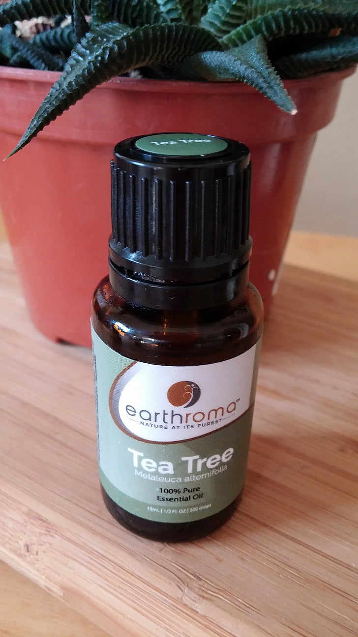 aceite esencial de, esencial, aceites, botellas, aromaterapia, árbol del té, aceite del árbol del té