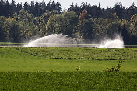 water, fields, blow up, irrigation, artificial, agriculture, field