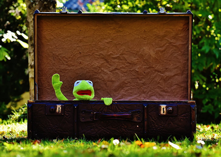 Kermit, atvadu, piemīlīgs, bērniem, jautrs, jauks, Bagāžas