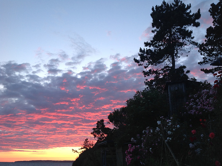 kvällshimmel, siluett, juli sky, moln, färgade himlen, Kalundborg, Danmark