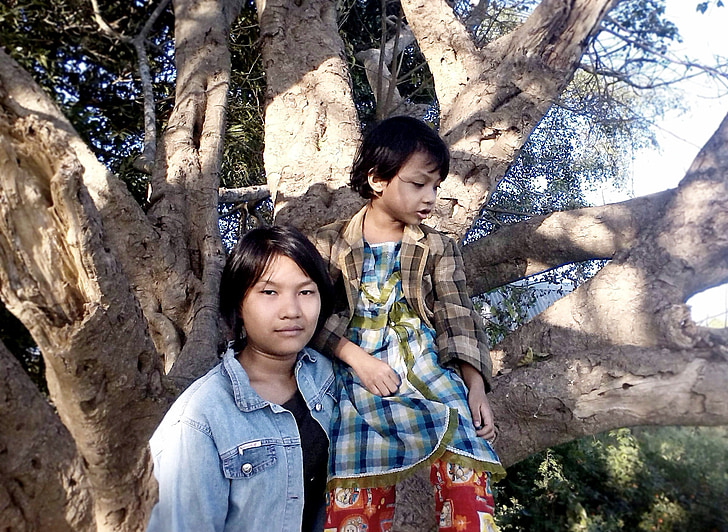 meninas, árvore, escalada, ao ar livre, asiáticos, Chinês, Vietnamita