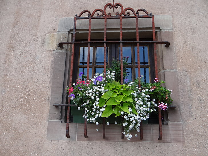 παράθυρο, πλέγμα, λουλούδια, sarrebourg, Μοζέλλας, πρόσοψη, σπίτι