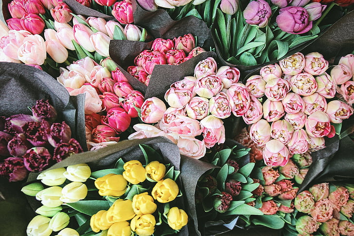 colorido, flor, Tulipa, planta, exibir, buquê, Bundle