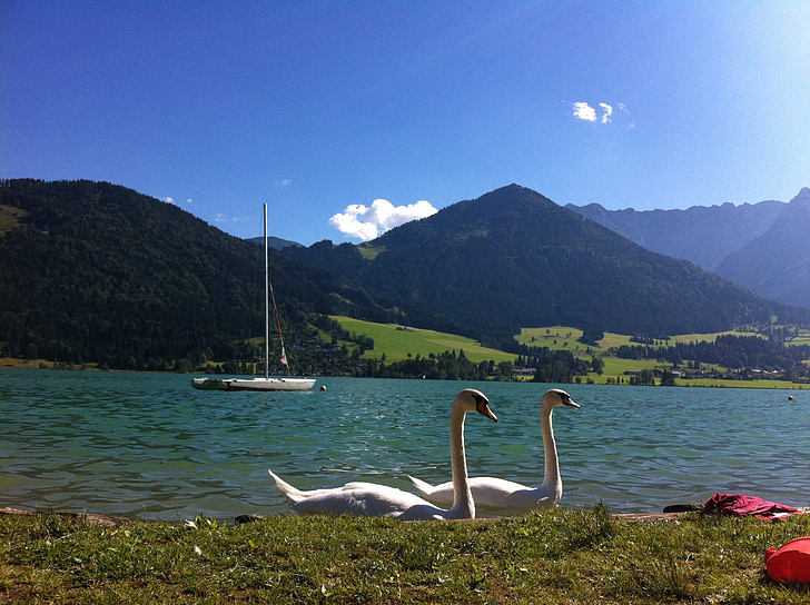 Walchsee, Lago, Áustria, paisagem, céu, natureza, montanhas