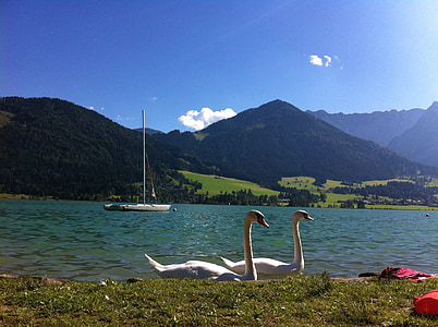 walchsee, lake, austria, landscape, sky, nature, mountains