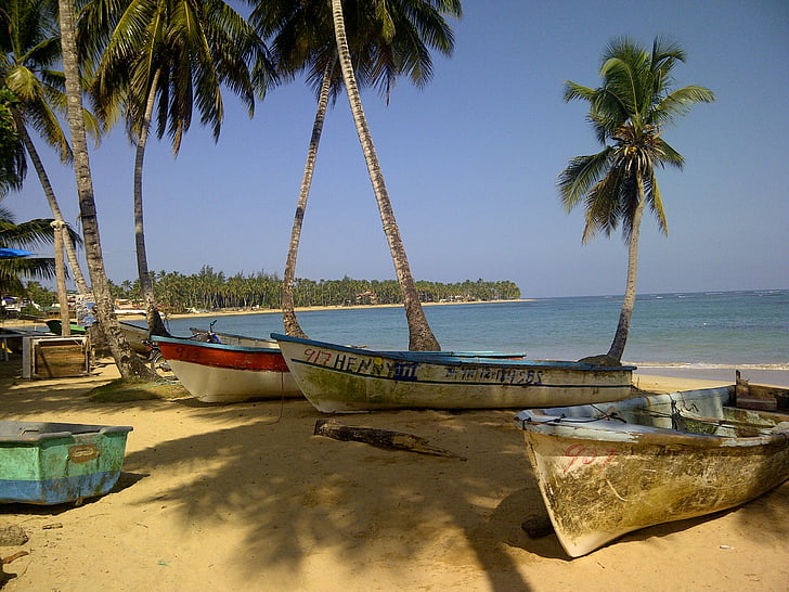 beach, island, nature, boats