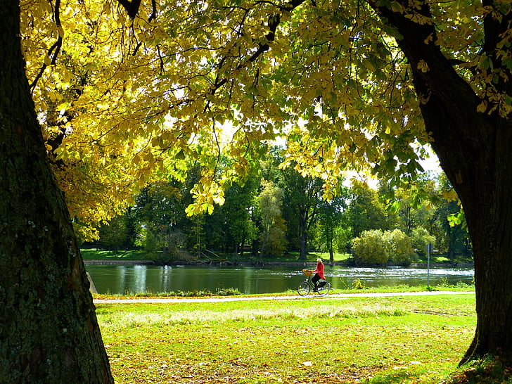 Herbst, Wasser, Donau, Radfahren, sonnig, Baum, Blätter