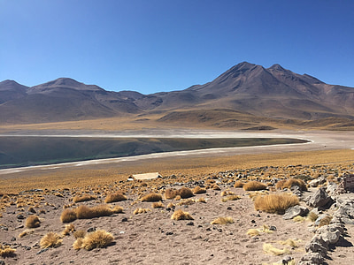 拉古纳, altiplanica, 智利, 阿塔卡马沙漠, 环礁湖, plateu, 沙漠