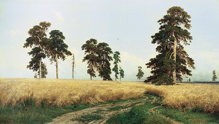 gandum, gandum, Rye, bidang Rye, lukisan, lukisan cat minyak, Ivan shishkin