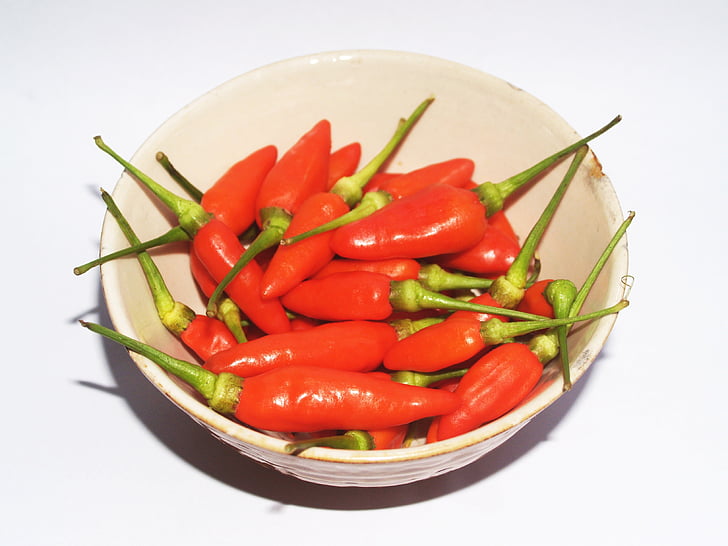 Chili, Pfeffer, rot, heiß, Chili, Paprika, Grün