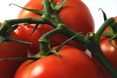 tomatid, värske, toidu, taimne, toitumine, looduslik, toores