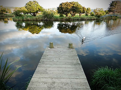 Bridge, vand, søen, refleksion, landskab, natur, udendørs