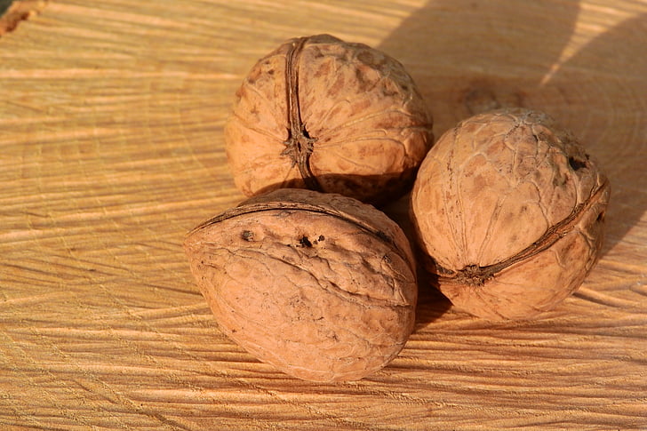 nuts, walnuts, shell, walnut